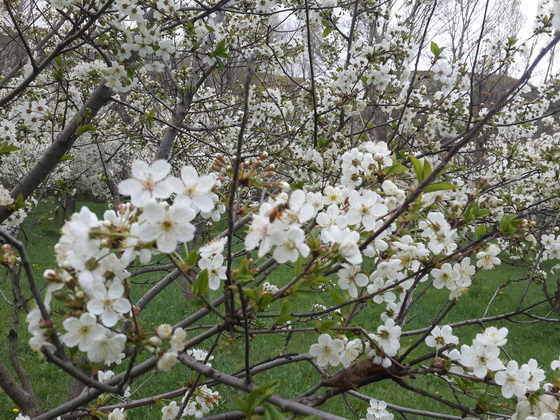 منطقه دربند هیر، بهشت پنهان منطقه دربند هیر، بهشت پنهان