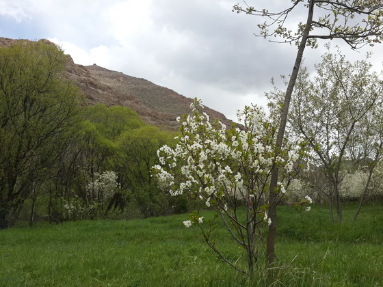 منطقه دربند هیر، بهشت پنهان منطقه دربند هیر، بهشت پنهان