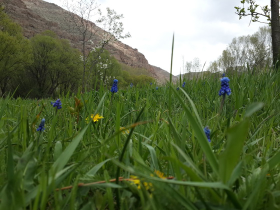 منطقه دربند هیر، بهشت پنهان منطقه دربند هیر، بهشت پنهان
