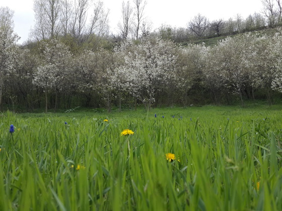 منطقه دربند هیر، بهشت پنهان منطقه دربند هیر، بهشت پنهان