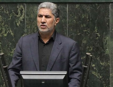 ۳ درصد از صندوق توسعه ملی به طرح&zwnj;های کشاورزی اختصاص یافت