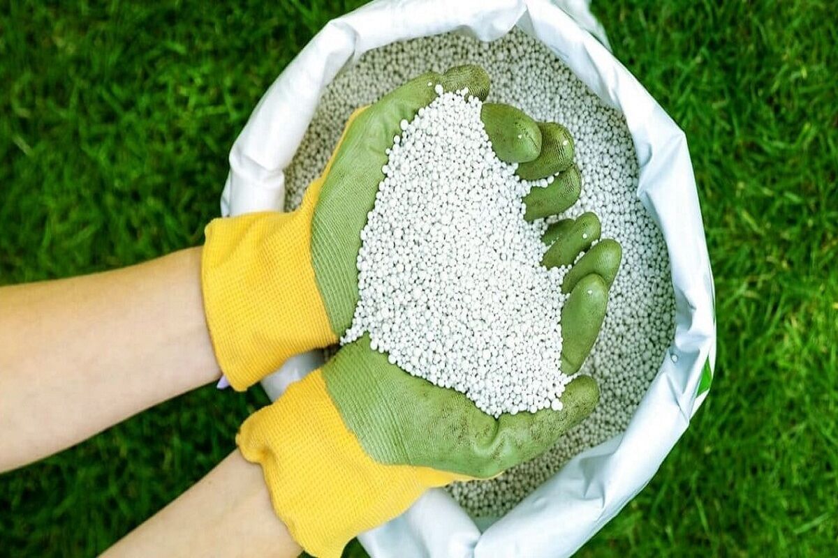 ۸۵۰ تن کود شیمیایی در سرعین توزیع شد ۸۵۰ تن کود شیمیایی در سرعین توزیع شد