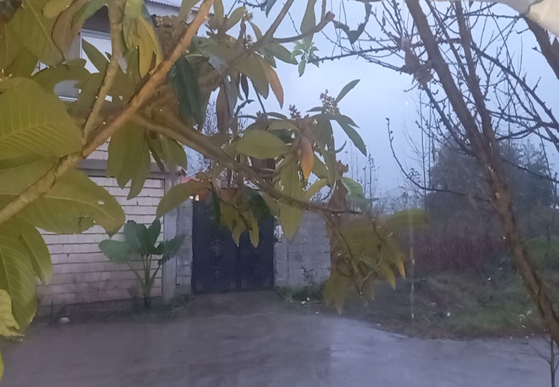 گیلان پس از هفته&zwnj;ها خشکی میزبان باران پاییزی شد + فیلم