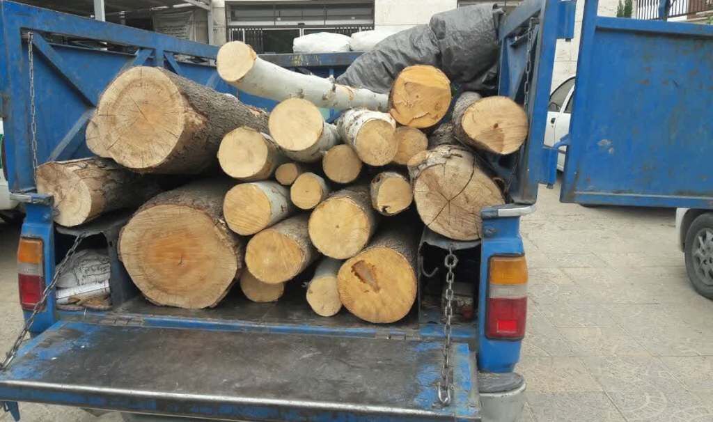 بیش از ۲ تن الوار جنگلی قاچاق در اردبیل کشف شد بیش از ۲ تن الوار جنگلی قاچاق در اردبیل کشف شد